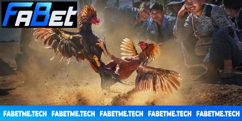 Thế Giới Đá Gà Muôn Màu Bí quyết cá cược đỉnh cao từ các kê thủ