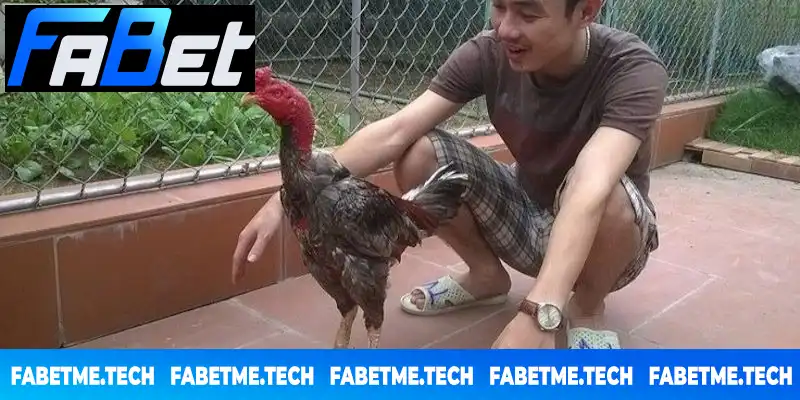 Vua Midas một thời khuấy đảo bầu trời Việt Nam Vua Midas một thời khuấy đảo bầu trời Việt Nam