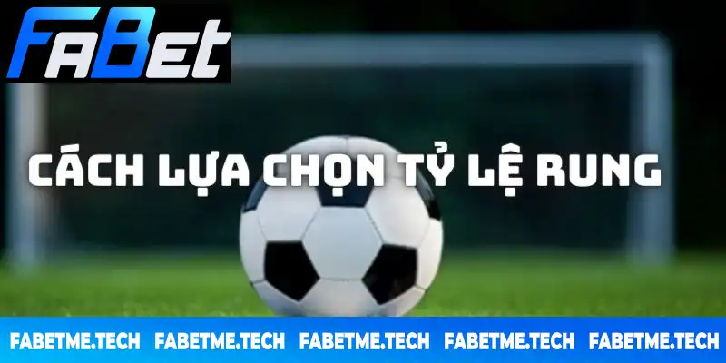 Chia sẻ đôi nét về cách đặt kèo rung đối với từng tỷ lệ Chia sẻ đôi nét về cách đặt kèo rung đối với từng tỷ lệ